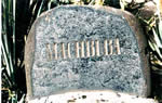 MACHBUBA GRASTEIN